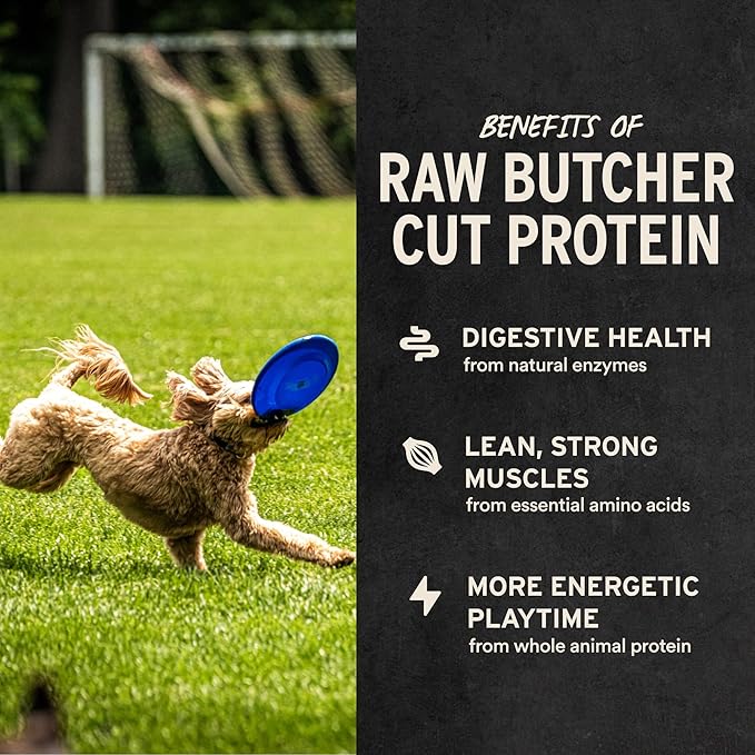 Vital Essentials Duck Bites Dog Treats, 5.5 oz | Freeze-Dried Raw | Single Protein | Premium Quality High Protein Training Treats | Grain Free, Gluten Free, Filler Free