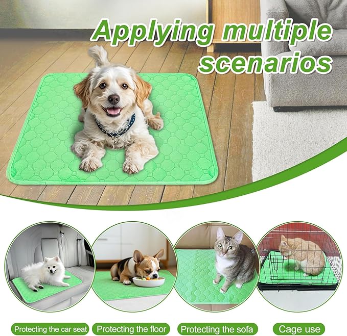 Enmaipet Reusable Puppy Training Pads, 2 Pack Washable Pee Pads for Dogs, Puppy Pee Pad for Dogs, Waterproof Non Slip Absorbent and Leakproof for Crate, Playpen, Bed, Sofa, 18"x 24" (Green)