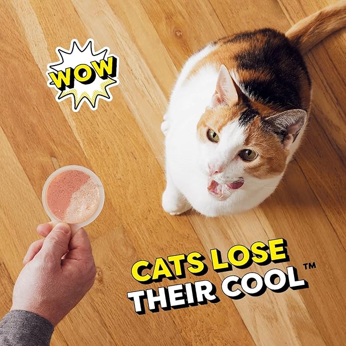 Temptations Lickable Spoons Adult Wet Cat Treat, 10 Grams, Variety Pack of 48