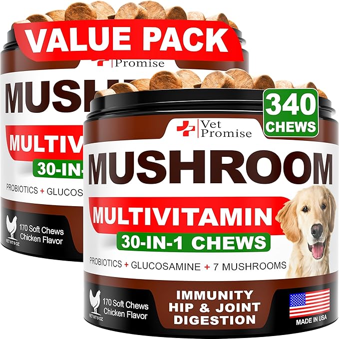 (2 Pack) Turkey Tail Mushroom for Dogs - 340 Chews - Mushroom Supplement for Dogs - Lions Mane - Reishi - Immunity Support Multivitamin Vitamins - Joint Health - Energy - Gut - Skin - Made in USA