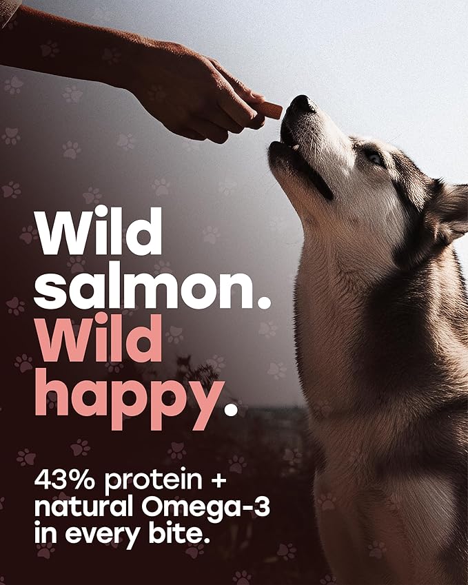 Wild Catch Treats – Freeze Dried Salmon & Sweet Potato Dog Treats – Single Protein, 43% Protein, 3% Omega-3 – Raw Training Treats & Meal Topper – Grain Free – 5.5 oz (300 Count)