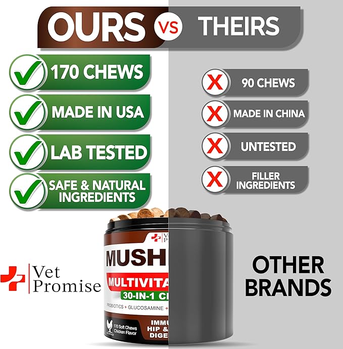 (2 Pack) Turkey Tail Mushroom for Dogs - 340 Chews - Mushroom Supplement for Dogs - Lions Mane - Reishi - Immunity Support Multivitamin Vitamins - Joint Health - Energy - Gut - Skin - Made in USA