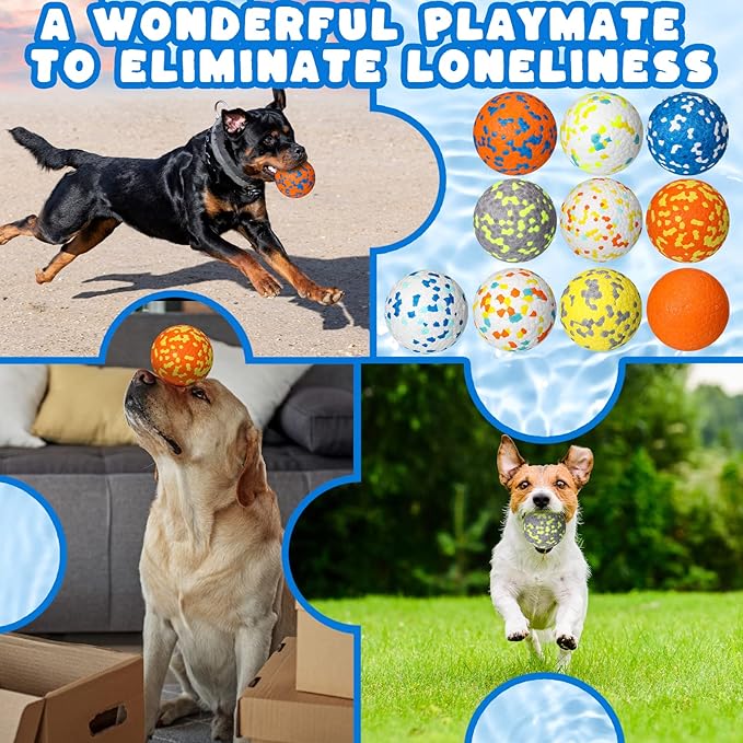 Lenwen 10 Pcs Dog Toy Ball for Aggressive Chewers Interactive Dog Ball for Boredom and Stimulating Bouncy Floating Rubber Toy for Large Medium Small Puppy(2.5 Inch,Bright Color)