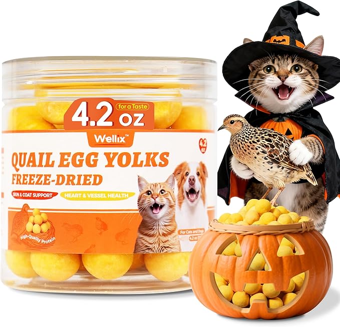 Wellix Freeze Dried Quail Eggs for Cats&Dog Treats - High-Protein Quail Egg Yolk Freeze Dried Cat Treats for Skin&Coat Health - Delicious Training Snacks for Pets 4.2oz