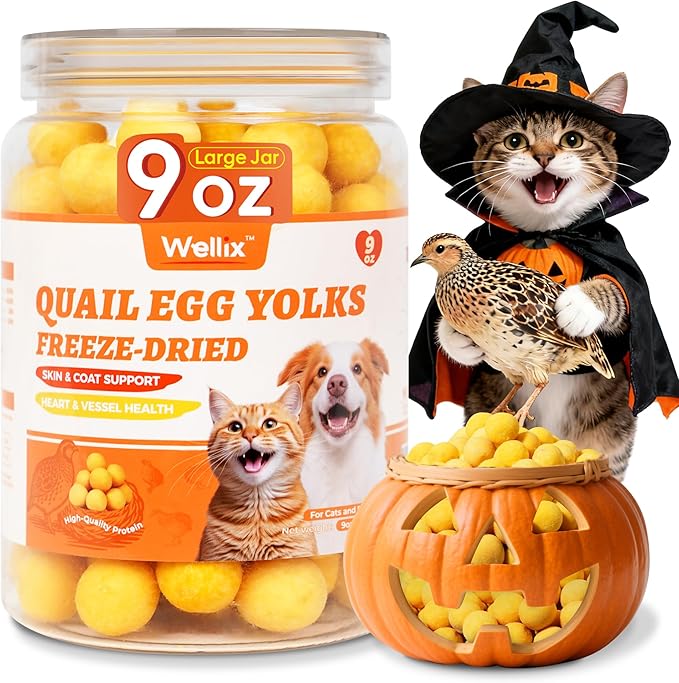 Wellix 9oz Freeze Dried Quail Eggs for Cats&Dog Treats - High-Protein Freeze Dried Quail Egg Yolk Cat Treats for Skin&Coat Health - Delicious Training Snacks for Puppy,Kitten Treat