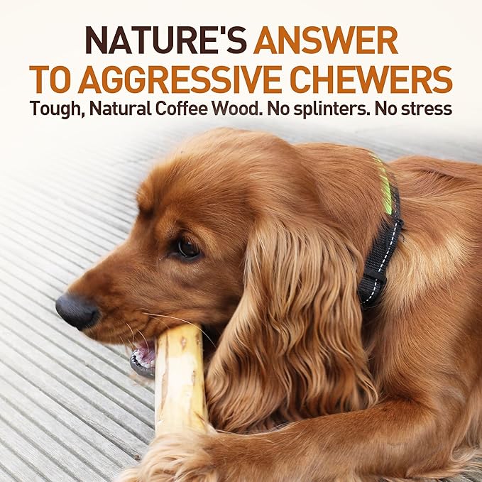 Wildfang® Coffee Wood Dog Chew, XXS – Tough Chew Toys for Aggressive Chewers, Dog Teething Toys for Puppies, Training for Chewing Muscles, Coffee Tree Sticks for XX-Small Dogs (Under 11 lbs)