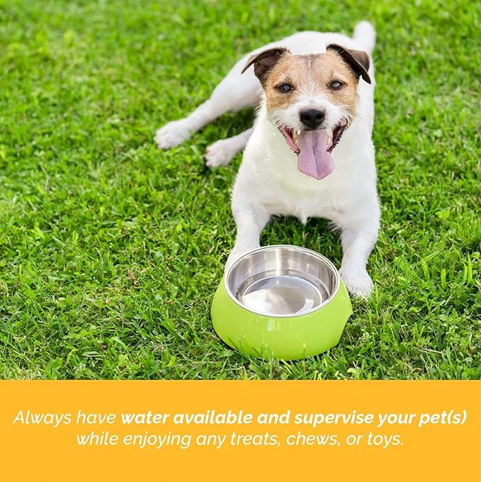 123 Treats Marrow Bones for Dogs - 100% Natural Long Lasting for Aggressive Chewers, Easily Digestible Bone Marrow Dog Treats for Healthy Snacking | (5-6 inches, 6 Count)