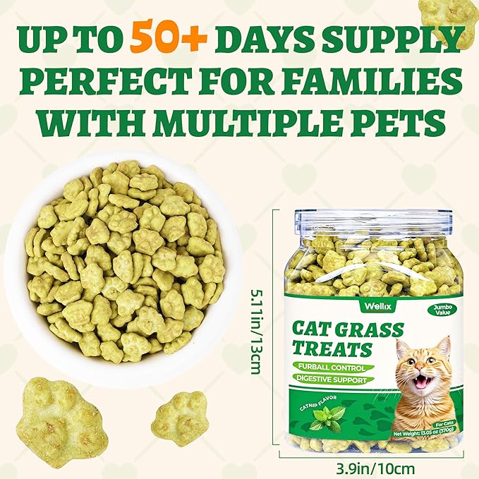 Wellix 13.05oz Cat Grass Treats with Catnip & Salmon - Healthy Cat Treats for Indoor Cats - Hairball Control & Digestive Support - Kittens Training Snacks for Teeth Cleaning