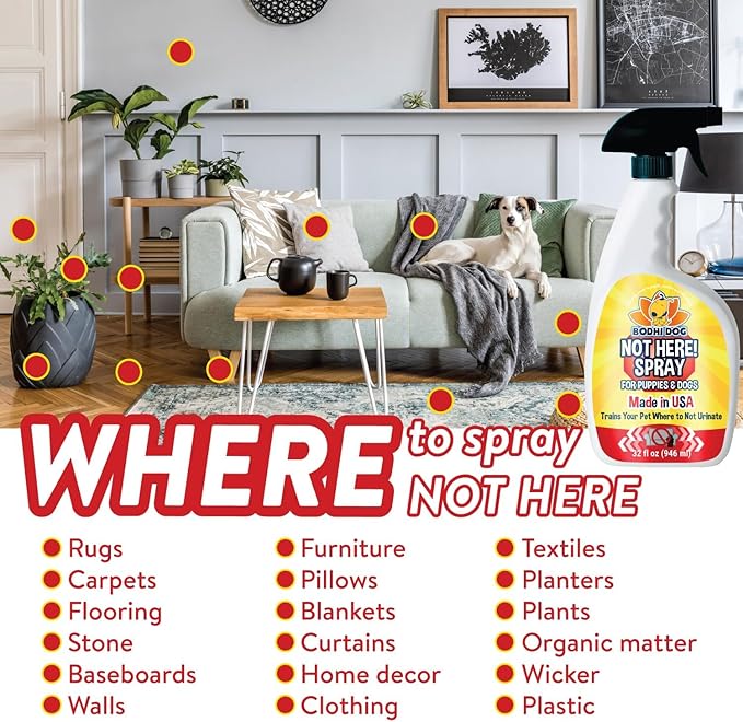Bodhi Dog Not Here! Spray - Trains Your Pet Where Not to Pee Indoors or Outdoors - Anti Marking Deterrent for Furniture, Carpet & Floor - Training Corrector for Puppies & Dogs - Made in USA (32 Fl Oz)
