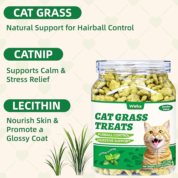 Wellix 13.05oz Cat Grass Treats with Catnip & Salmon - Healthy Cat Treats for Indoor Cats - Hairball Control & Digestive Support - Kittens Training Snacks for Teeth Cleaning