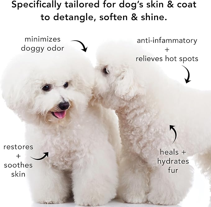Pride and Groom The Non Shedder | Dog Grooming Shampoo for Doodles and Dogs That Do Not Shed | Tearless All Natural Body Wash with Coat-Specific Ingredients That Enhance Shine – 16oz