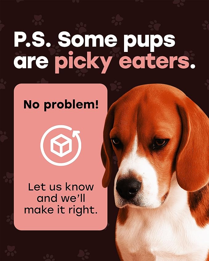 Wild Catch Treats – Freeze Dried Salmon & Sweet Potato Dog Treats – Single Protein, 43% Protein, 3% Omega-3 – Raw Training Treats & Meal Topper – Grain Free – 5.5 oz (300 Count)