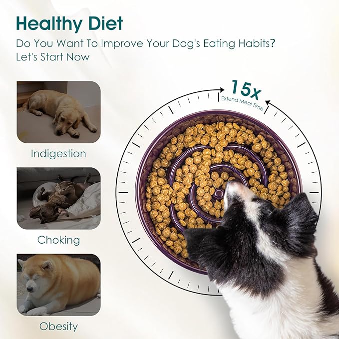 vancasso Slow Feeder Dog Bowl, 3 Cups Ceramic Slow Feeder for Large Breed, Puzzle Maze Dog Food Bowl for Fast Eater, Dark Purple