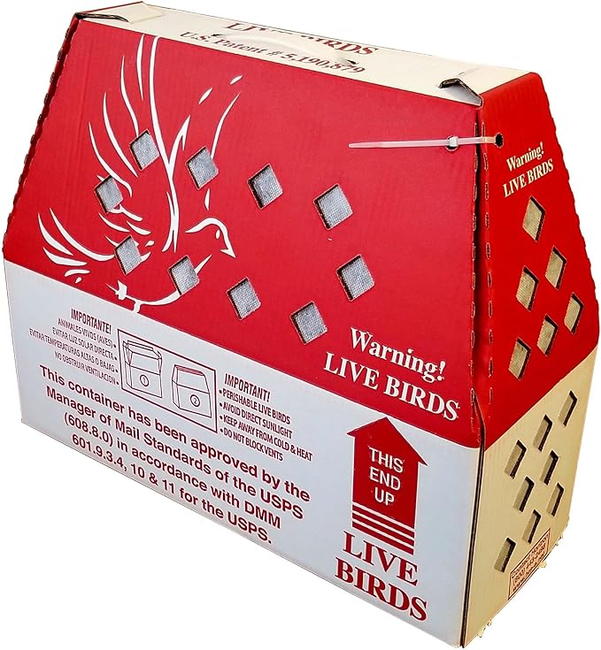 'Lite Shipper' Live Chicken Shipping Boxes (20 pack)