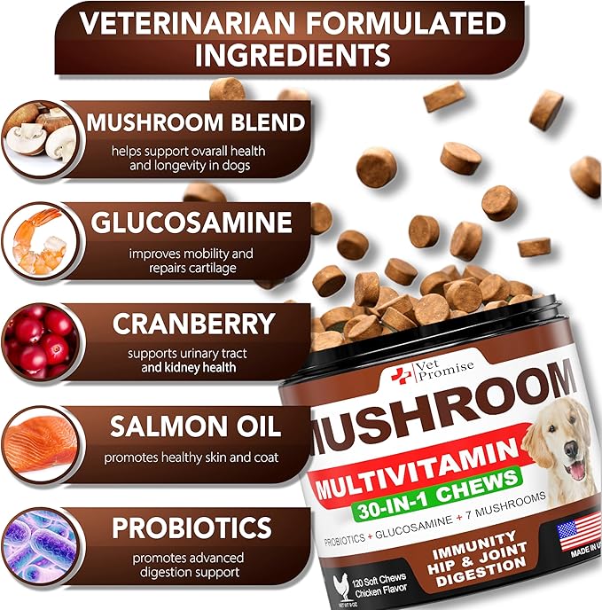 (2 Pack) Turkey Tail Mushroom for Dogs - 340 Chews - Mushroom Supplement for Dogs - Lions Mane - Reishi - Immunity Support Multivitamin Vitamins - Joint Health - Energy - Gut - Skin - Made in USA