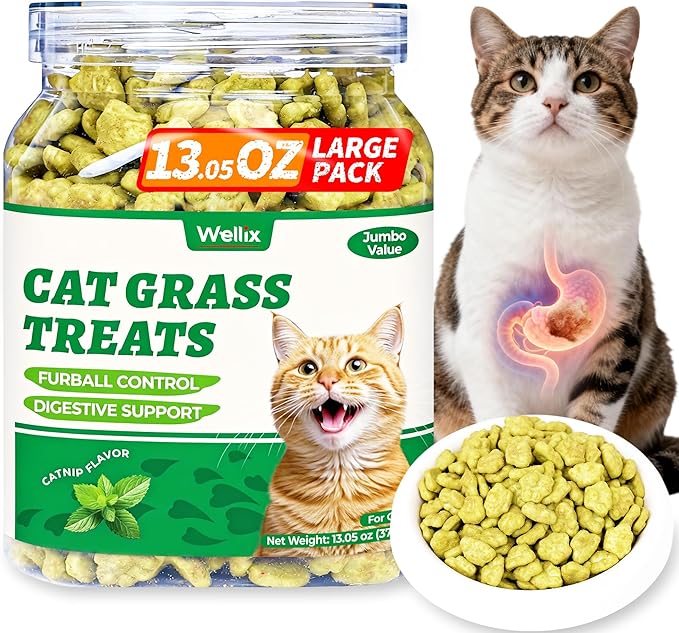 Wellix 13.05oz Cat Grass Treats with Catnip & Salmon - Healthy Cat Treats for Indoor Cats - Hairball Control & Digestive Support - Kittens Training Snacks for Teeth Cleaning