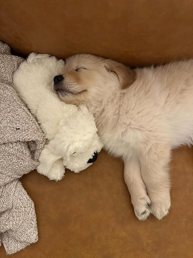 Original Snuggle Puppy Toys - Heartbeat Puppy for Dogs - Pet Anxiety Relief and Calming Aid - Comfort Dog Toys for Behavioral Training - Plus 6 Heat Packs