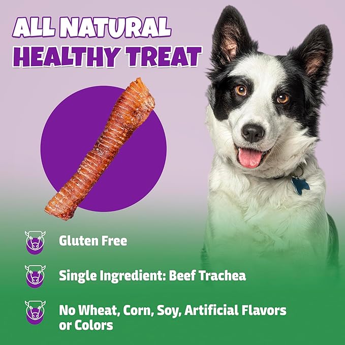 100% Beef Trachea for Dogs with Natural Glucosamine, Large Trachea Dog Chews for Joint Health with Chondroitin, Great and Breads, 10-Pack