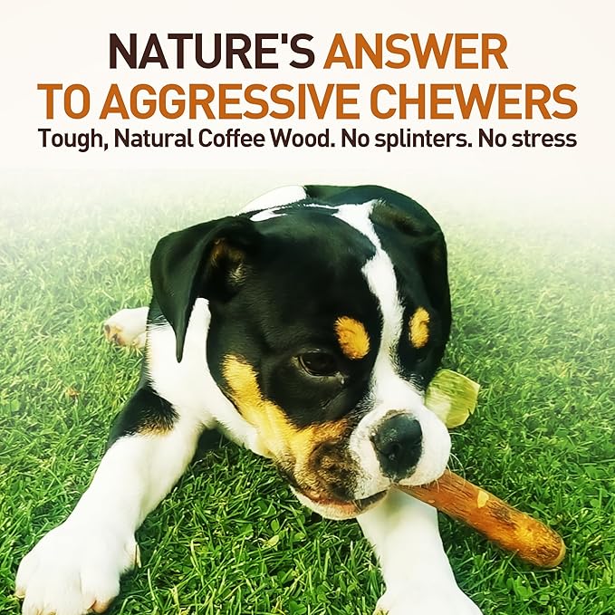 Wildfang® Olive Wood Chewing Sticks for Dogs, Medium - Tough Chew Toys for Aggressive Chewers, Puppy Chew Toys for Teething, Training for Chewing Muscles, Olive Wood Stick for Dog (33-55lbs), 3pack