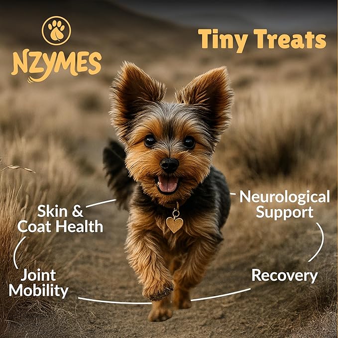Nzymes® Antioxidant Tiny Treats - for Dogs Joints, HIPS, Paralysis, Skin, Coat, Hair Loss, Aging, Digestion, Seizures - Dog Treats for Small Dogs - 540 Treats - Made in The USA
