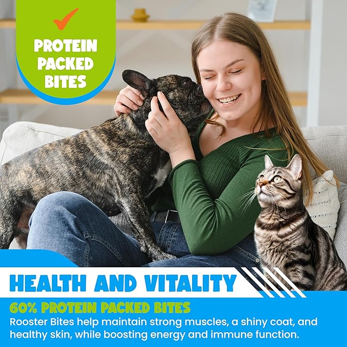 Rooster Bites Chicken Quail Egg Dog & Cat Treats – Only 2 Ingredient Freeze Dried Training Treats - High Protein, All Natural, Made in USA - Picky Eater Approved