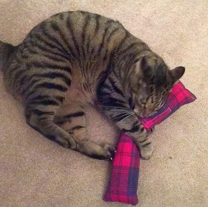 (Refillable 15" Catnip Cat Kicker Toy (Kicker Filled with 1 oz Canadian Catnip) (Red Flannel)